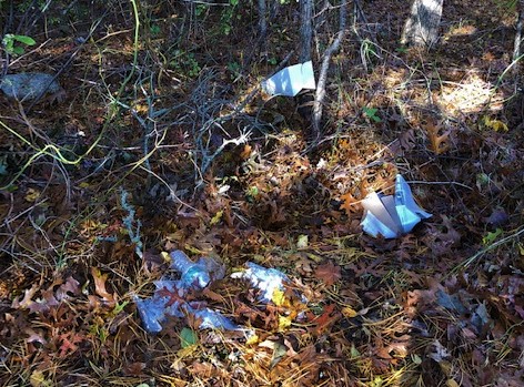 Pile of litter in woods